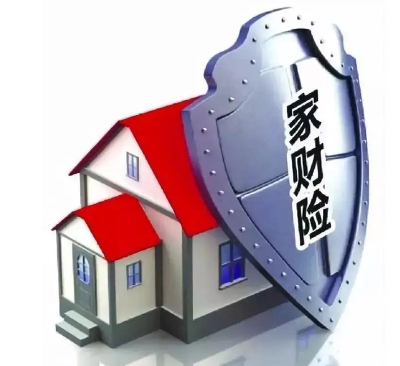 洞察未来风险，打造安心生活——人寿险行业动态解析